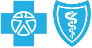 Blue Cross/Blue Shield Insurance